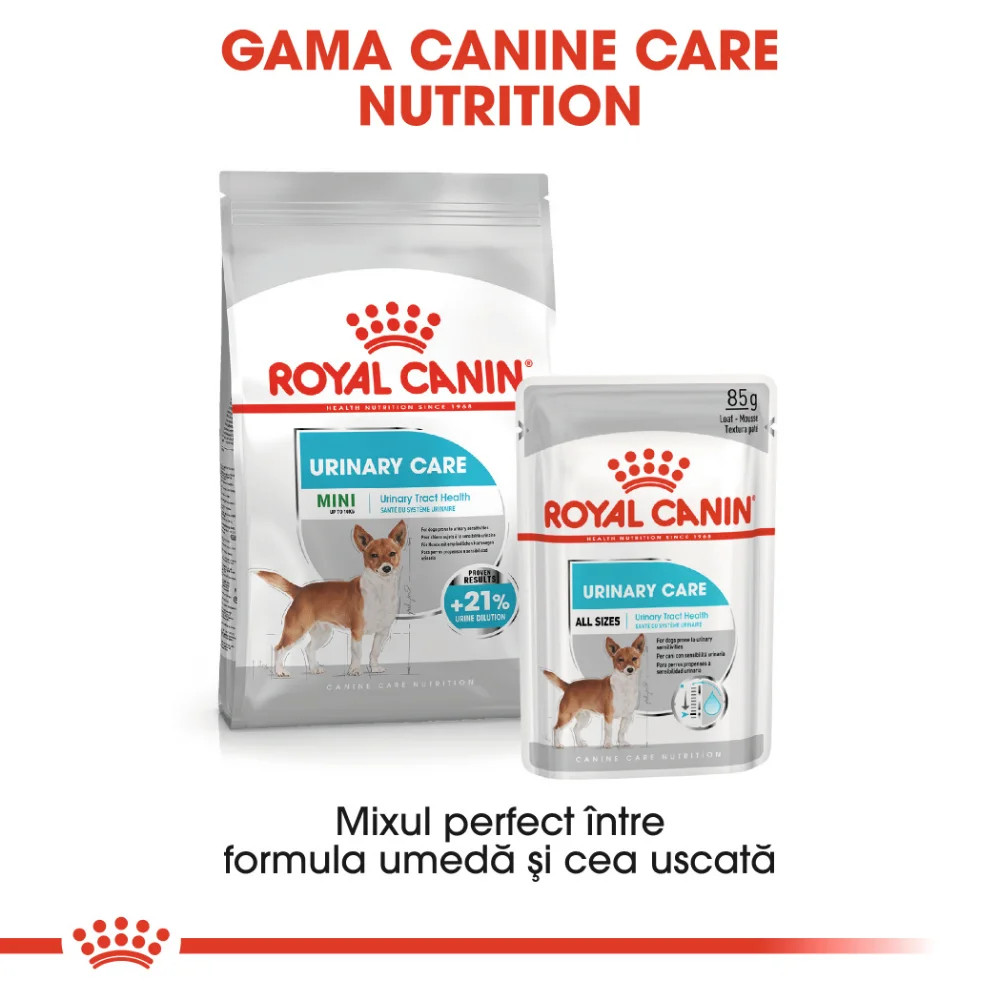 ROYAL CANIN Mini Urinary Care, hrană uscată câine, sănătatea tractului urinar, 1kg [8]