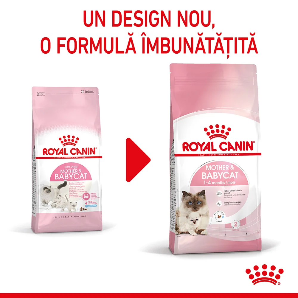 ROYAL CANIN Mother & BabyCat, hrană uscată pisică, mama si puiul, 2kg [3]