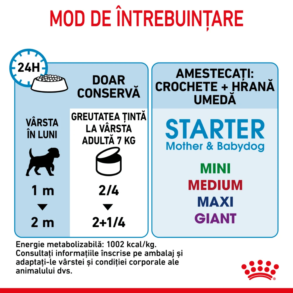 ROYAL CANIN Starter Mousse, mama și puiul, hrană umedă câine (textură spumoasă), 195g [8]