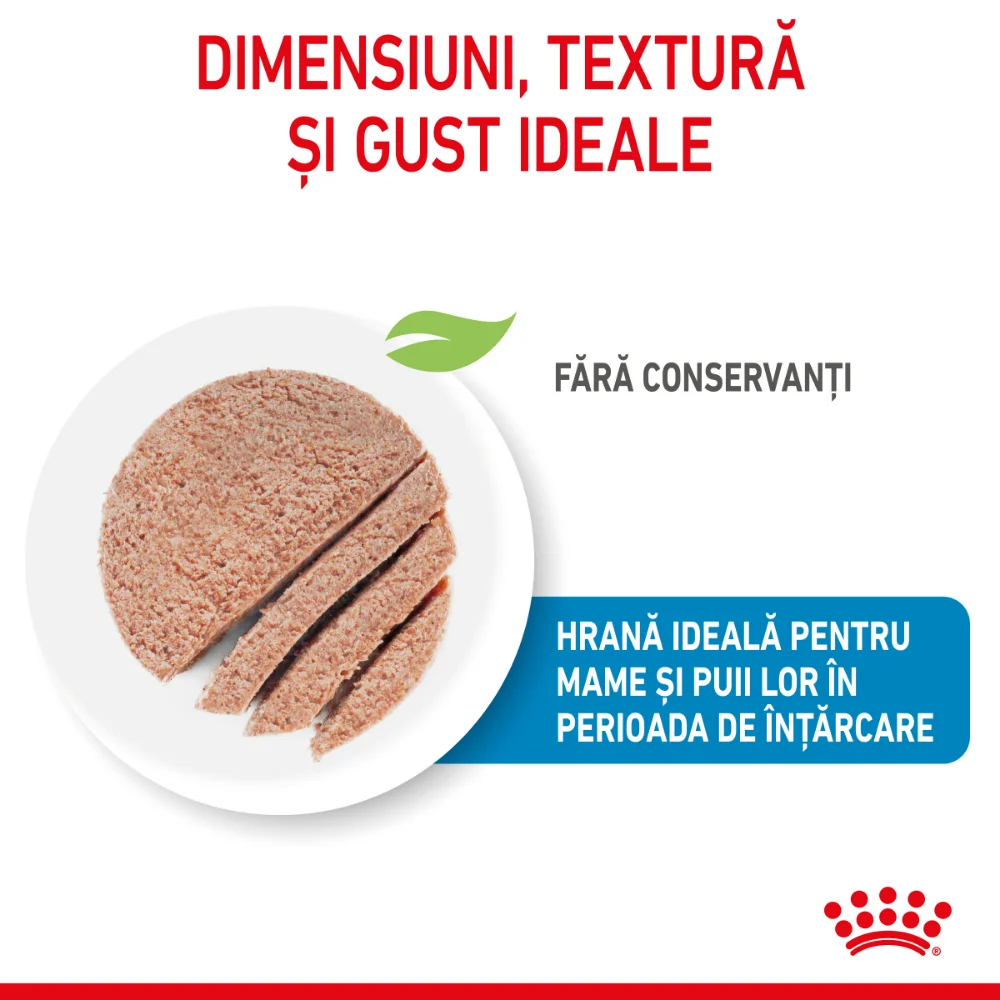 ROYAL CANIN Starter Mousse, mama și puiul, hrană umedă câine (textură spumoasă), 195g [5]