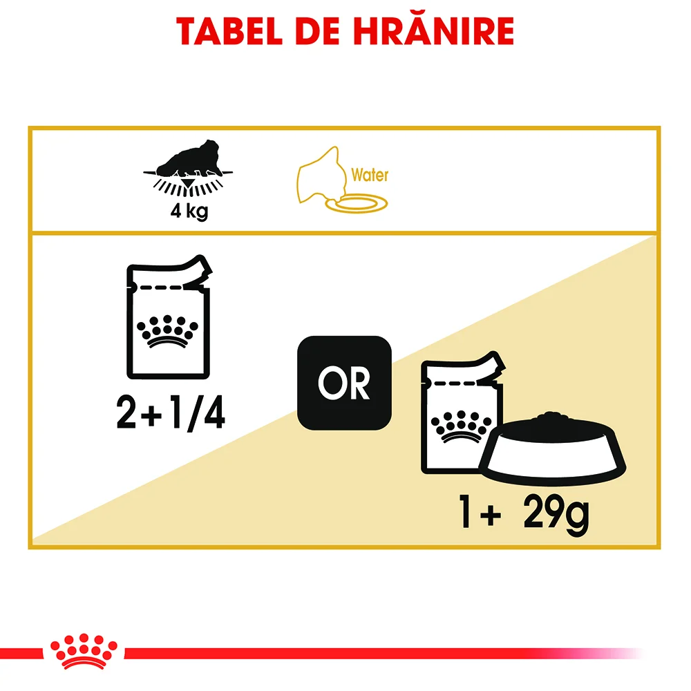ROYAL CANIN Persian Adult, hrană umedă pisică (pate), 12x85g [7]