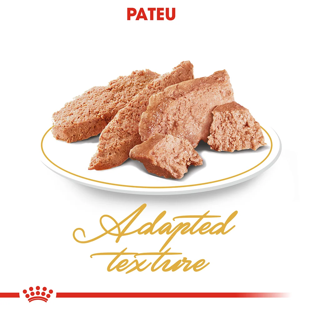 ROYAL CANIN Persian Adult, hrană umedă pisică (pate), 12x85g [4]