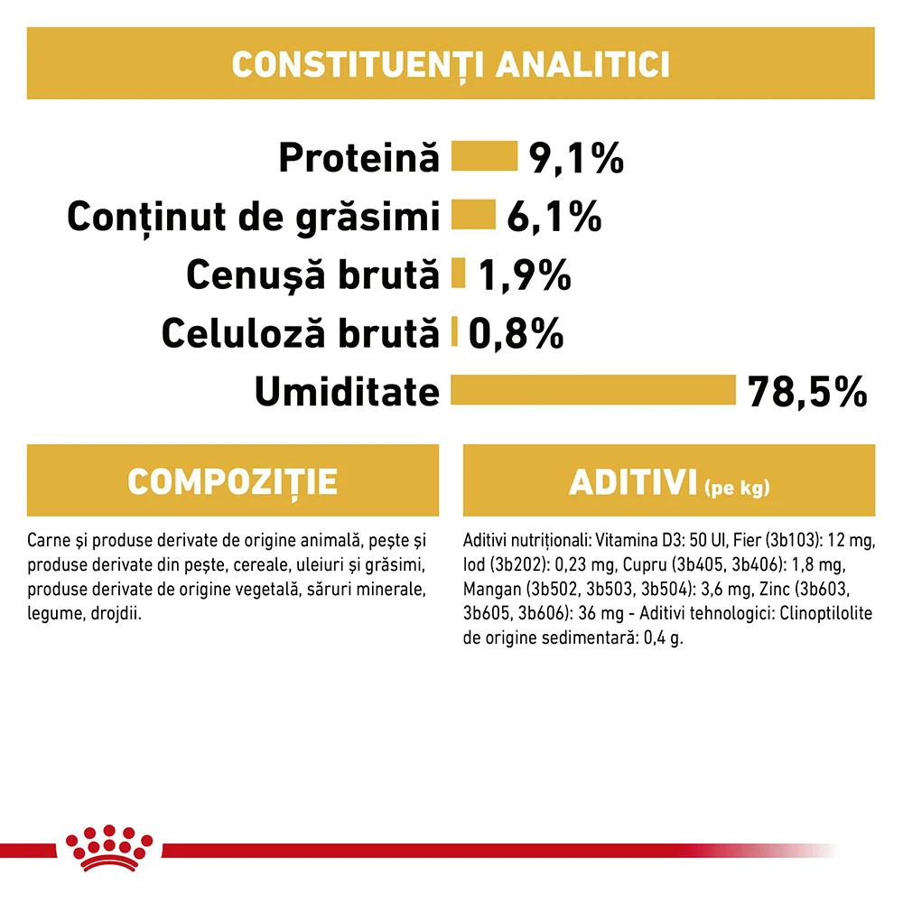 ROYAL CANIN Persian Adult, hrană umedă pisică (pate), 12x85g [6]
