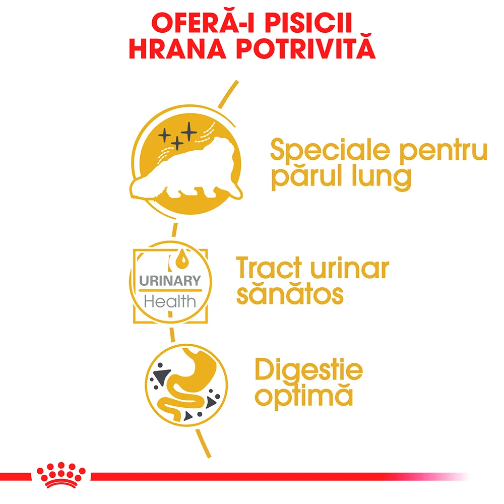 ROYAL CANIN Persian Adult, hrană umedă pisică (pate), 12x85g [3]