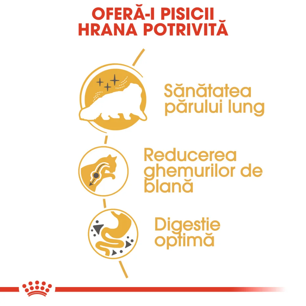 ROYAL CANIN Persian Adult, hrană uscată pisică, 400g [3]