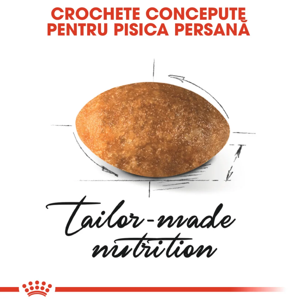 ROYAL CANIN Persian Adult, hrană uscată pisică, 400g [4]