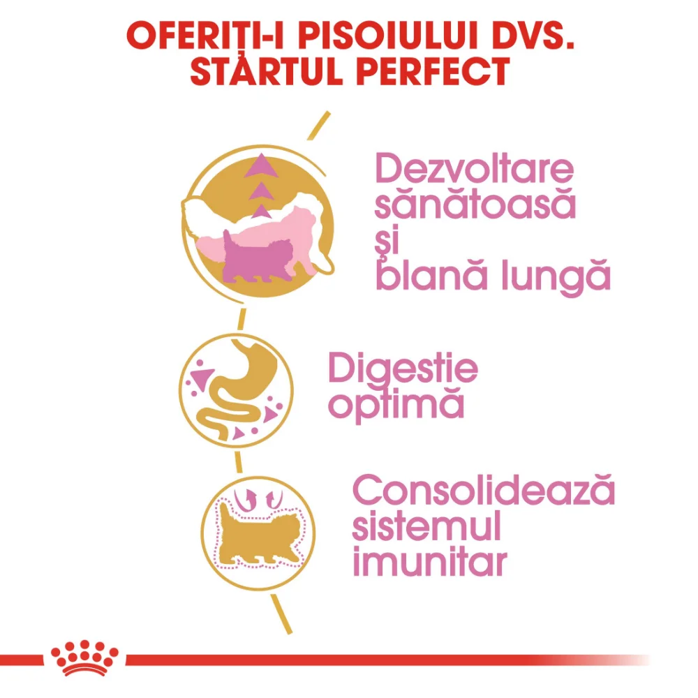 ROYAL CANIN Persian Kitten, hrană uscată pisică junior, 2kg [3]