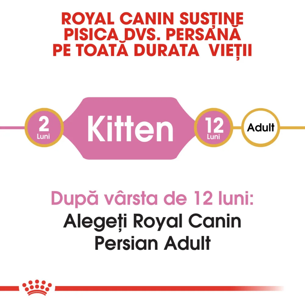 ROYAL CANIN Persian Kitten, hrană uscată pisică junior, 2kg [6]