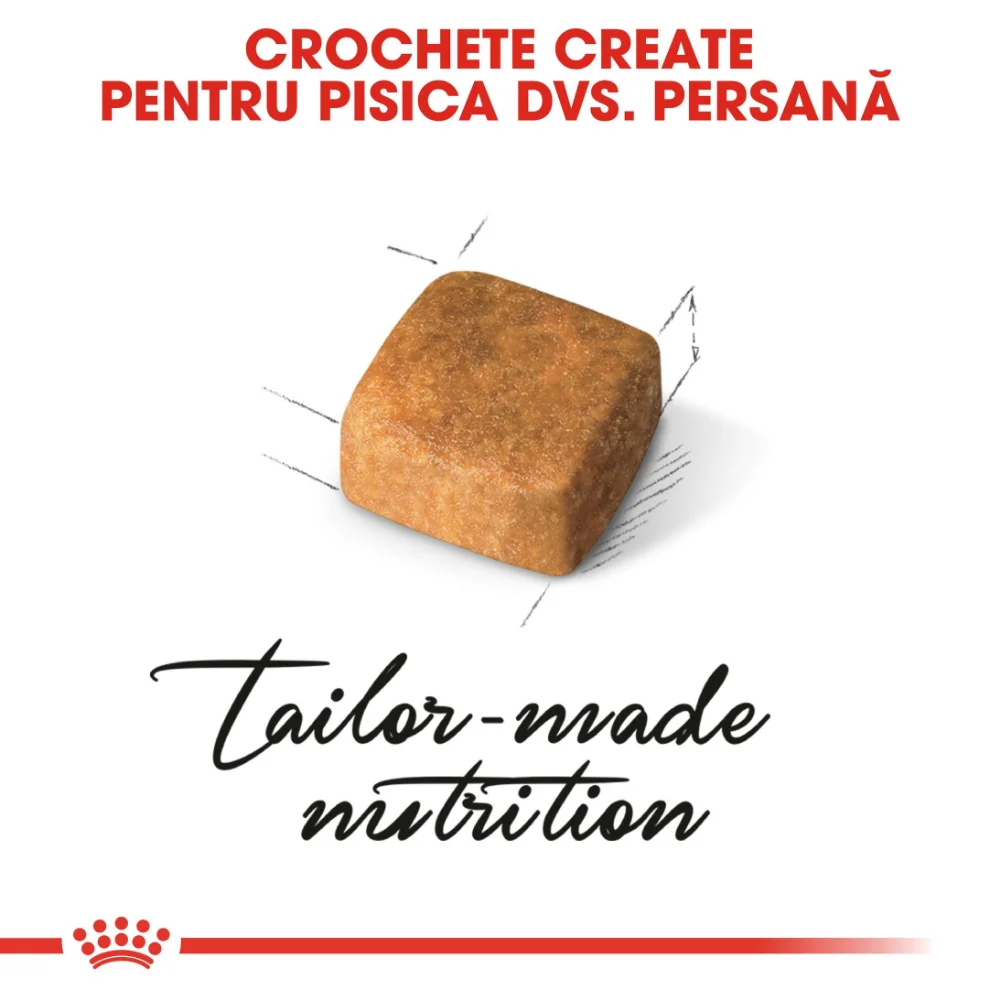 ROYAL CANIN Persian Kitten, hrană uscată pisică junior, 2kg [4]