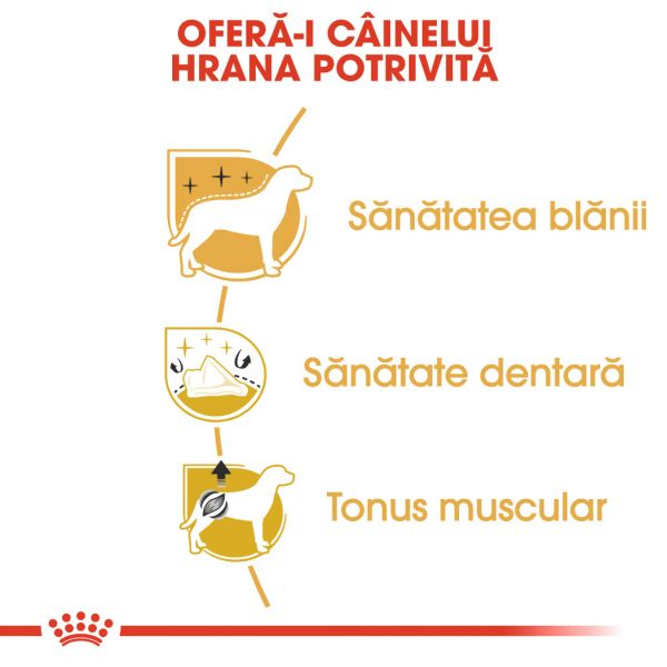 ROYAL CANIN  Poodle Adult, hrană uscată câine, 1,5kg [3]