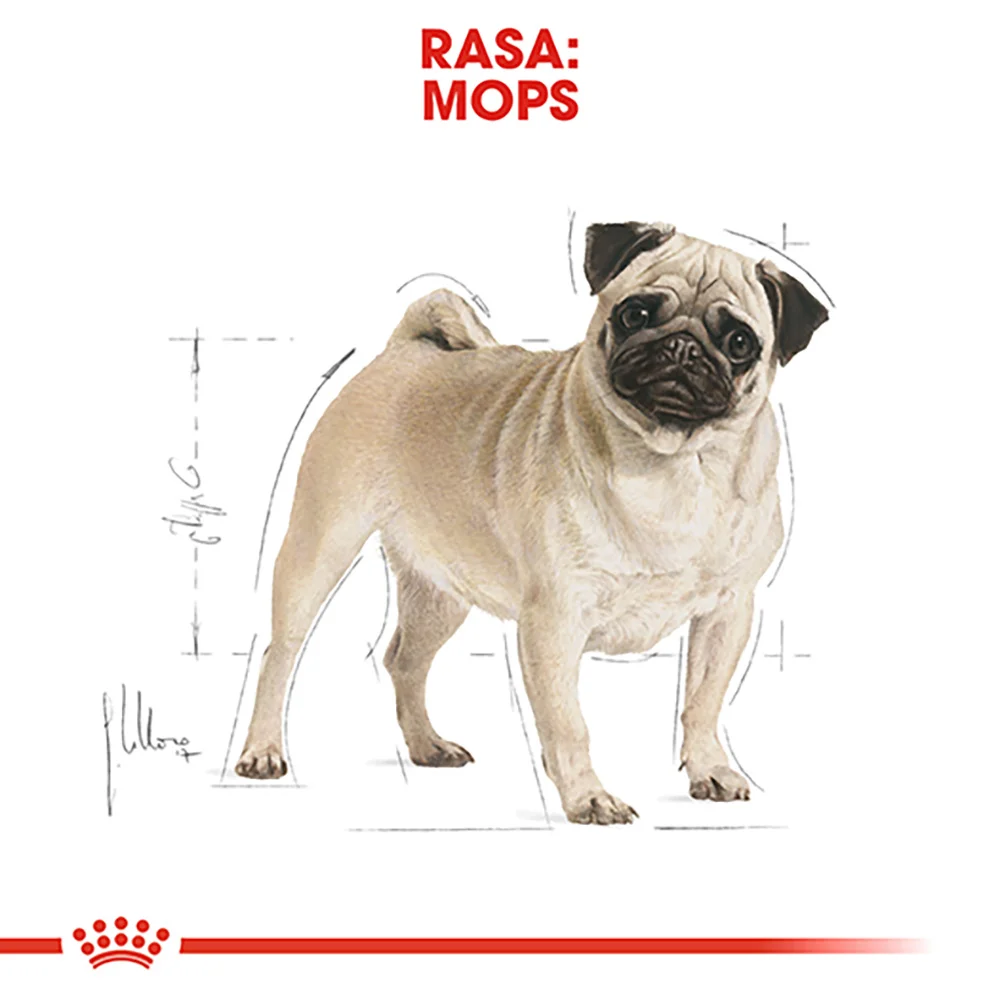 ROYAL CANIN Pug Adult, hrană uscată câine, 1,5kg [6]
