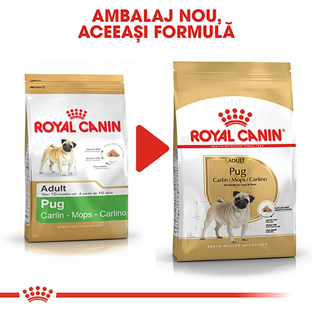 ROYAL CANIN Pug Adult, hrană uscată câine, 1,5kg [3]