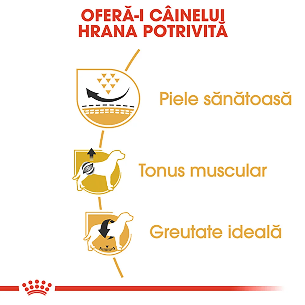 ROYAL CANIN Pug Adult, hrană uscată câine, 1,5kg [4]