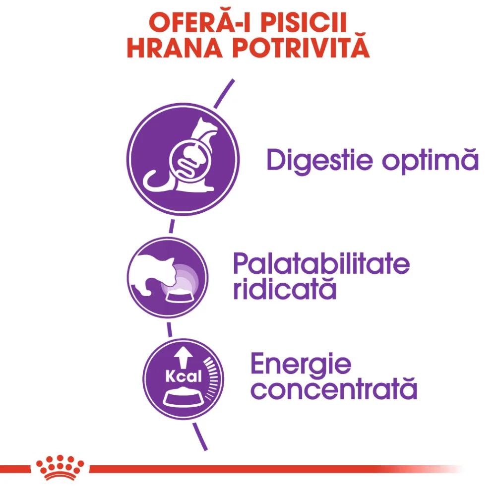 ROYAL CANIN Sensible Adult, hrană uscată pisică, digestie optimă, 2kg [4]
