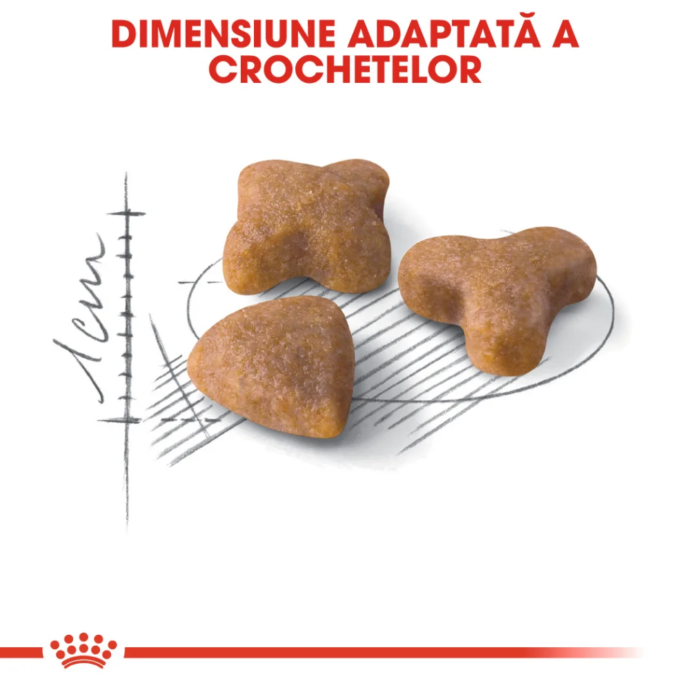 ROYAL CANIN Sensible Adult, hrană uscată pisică, digestie optimă, 10kg [5]