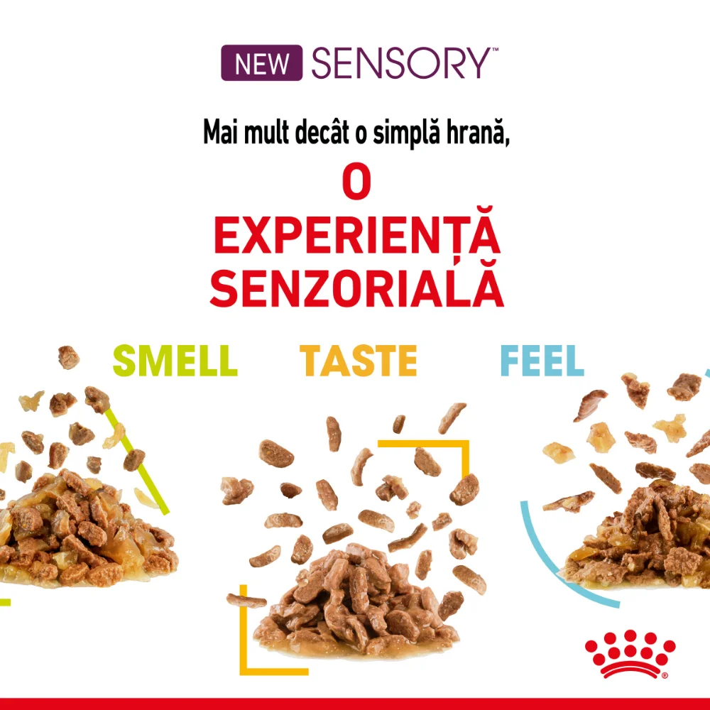 ROYAL CANIN Sensory Feel, hrană umedă pisică, stimularea simțului tactil (în sos), 12x85g [4]