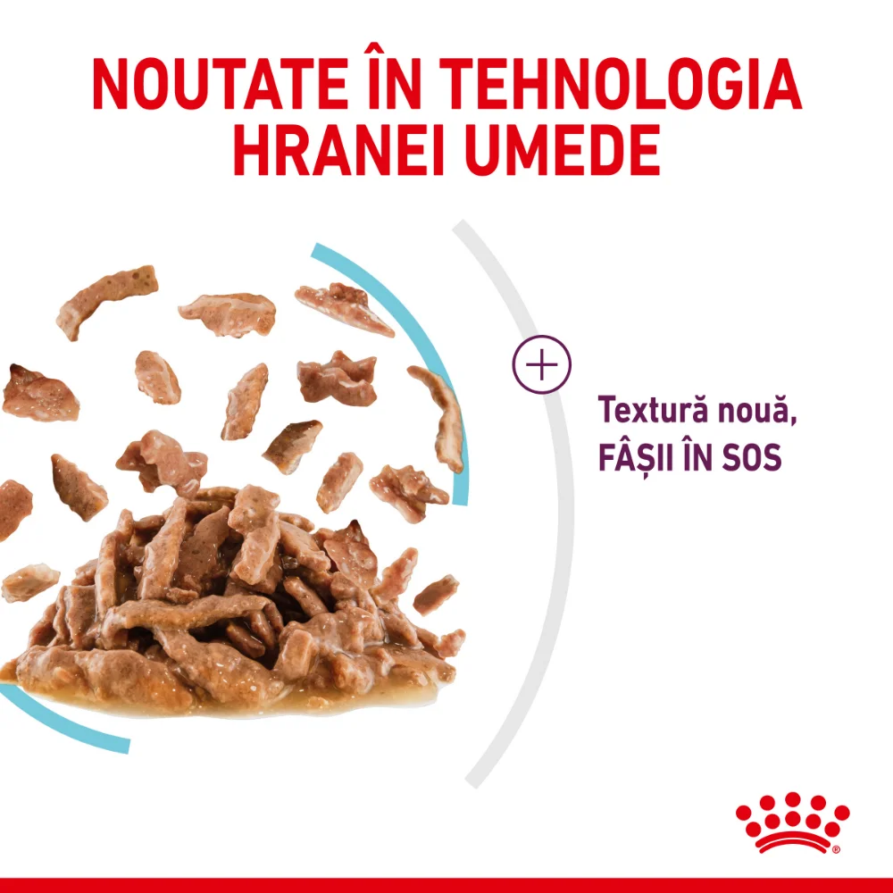 ROYAL CANIN Sensory Feel, hrană umedă pisică, stimularea simțului tactil (în sos), 12x85g [6]