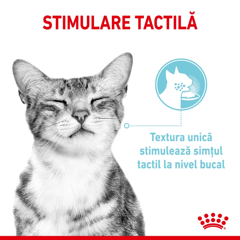 ROYAL CANIN Sensory, hrană umedă pisică, stimularea simțurilor (în sos), 12x85g [6]