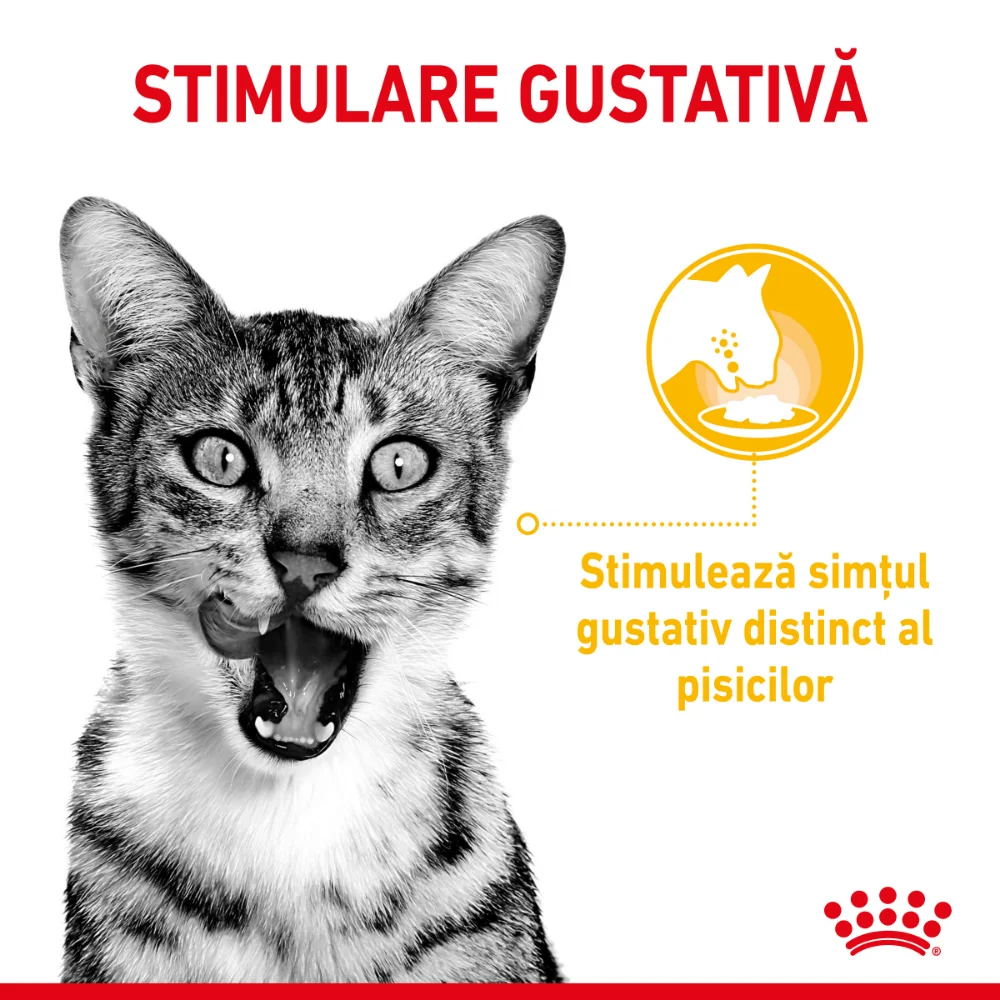 ROYAL CANIN Sensory, hrană umedă pisică, stimularea simțurilor (în sos), 12x85g [5]