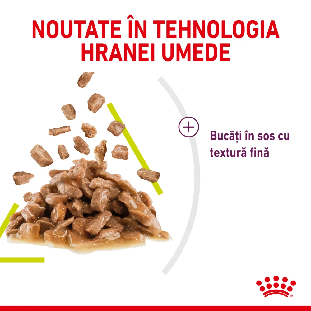 ROYAL CANIN Sensory Smell, hrană umedă pisici, stimularea mirosului (în sos), 12x85g [6]