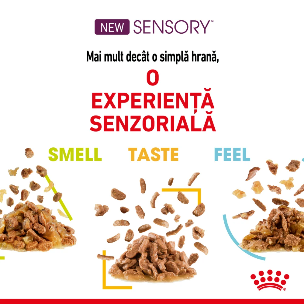 ROYAL CANIN Sensory Smell, hrană umedă pisici, stimularea mirosului (în sos), 12x85g [4]