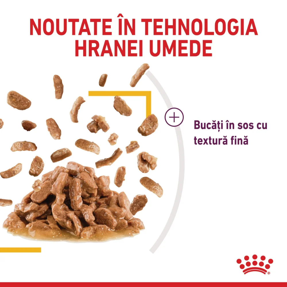 ROYAL CANIN Sensory Taste, hrană umedă pisică, stimularea gustului (în sos), 12x85g [6]