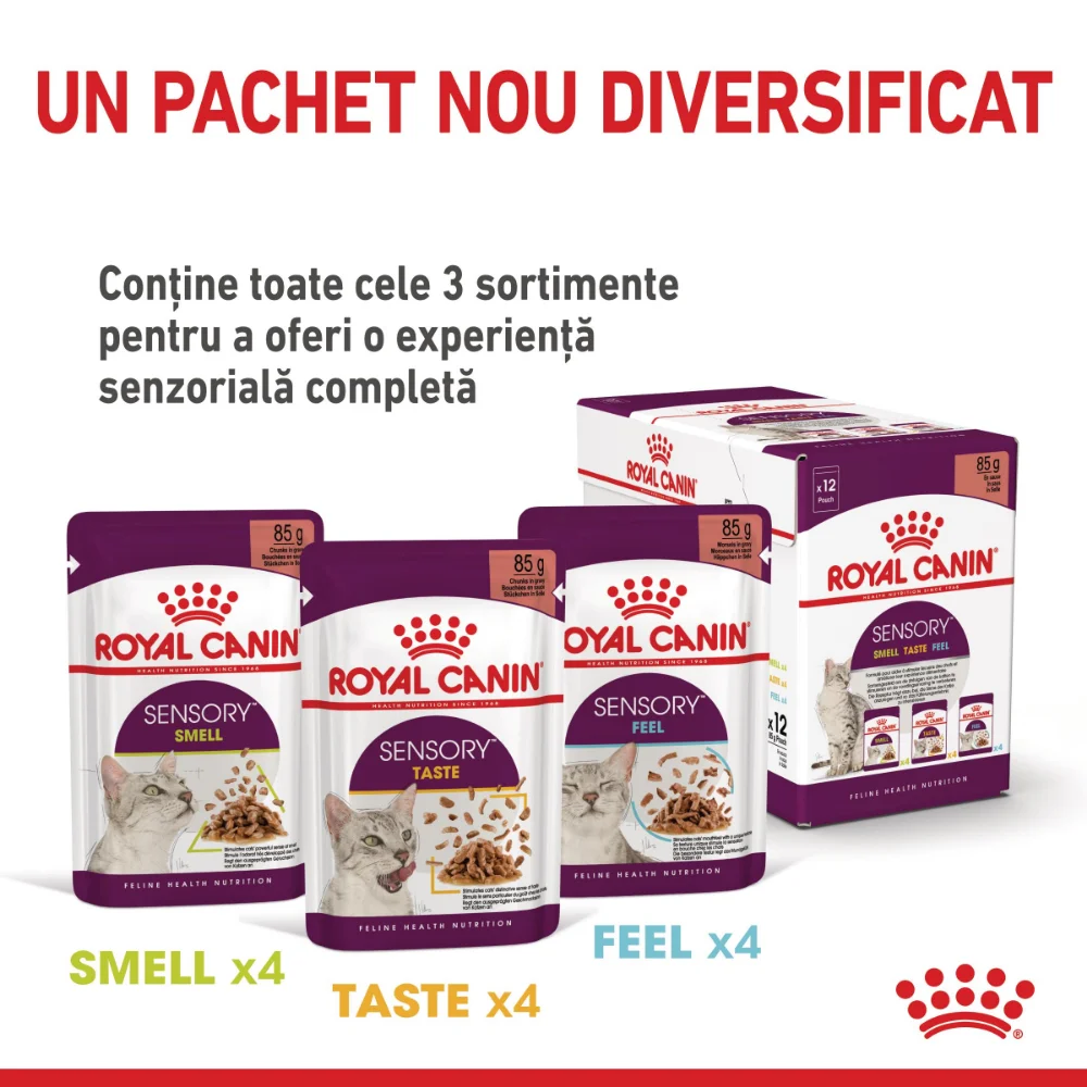 ROYAL CANIN Sensory Taste, hrană umedă pisică, stimularea gustului (în sos), 12x85g [9]