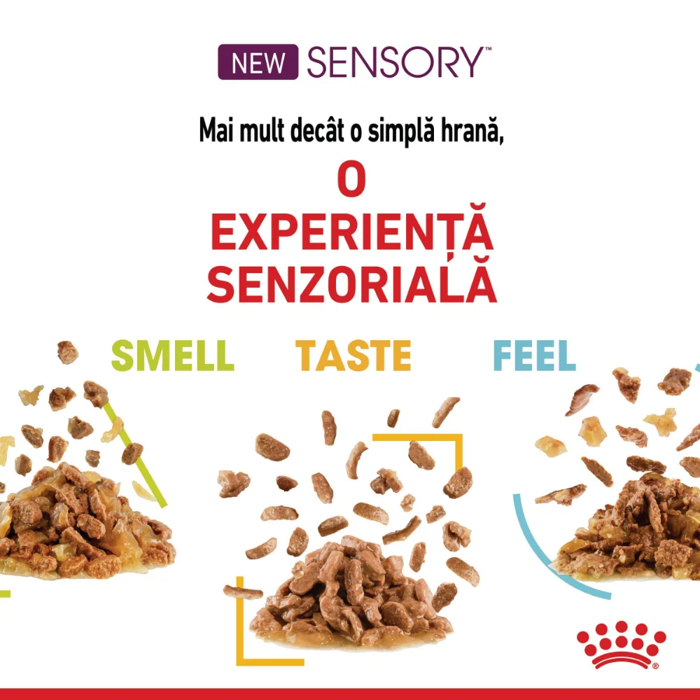 ROYAL CANIN Sensory Taste, hrană umedă pisică, stimularea gustului (în sos), 12x85g [4]
