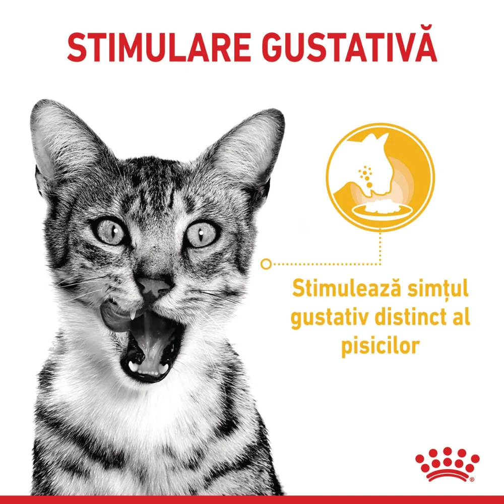 ROYAL CANIN Sensory Taste, hrană umedă pisică, stimularea gustului (în sos), 12x85g [5]