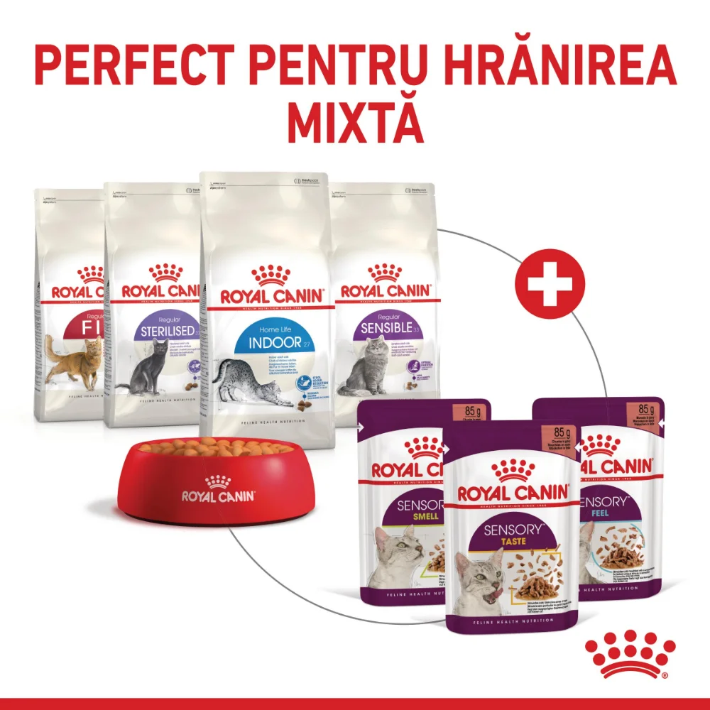 ROYAL CANIN Sensory Taste, hrană umedă pisică, stimularea gustului (în sos), 12x85g [10]