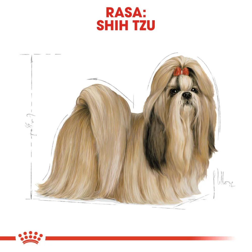ROYAL CANIN Shih Tzu Adult, hrană uscată câine, 3kg [6]