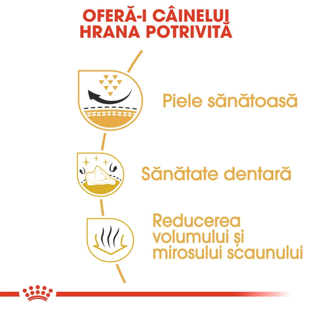 ROYAL CANIN Shih Tzu Adult, hrană uscată câine, 500g [4]