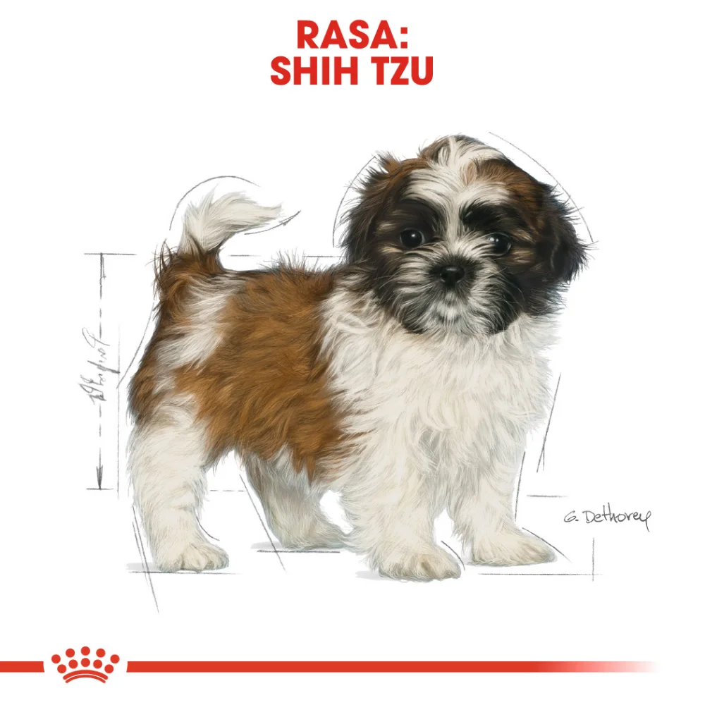 ROYAL CANIN Shih Tzu Puppy, hrană uscată câine junior, 1,5kg [6]
