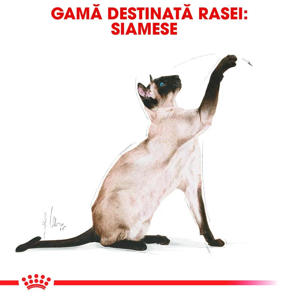 ROYAL CANIN Siamese Adult, hrană uscată pisică, 2kg [5]