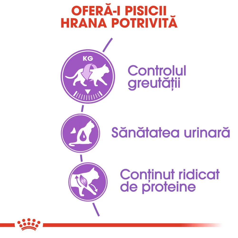 ROYAL CANIN Sterilised Adult, hrană uscată pisică sterilizată, 2kg [4]