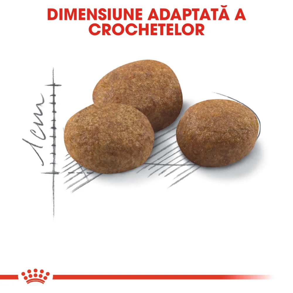 ROYAL CANIN Sterilised 7+, hrană uscată pisică sterilizată, 1,5kg [5]