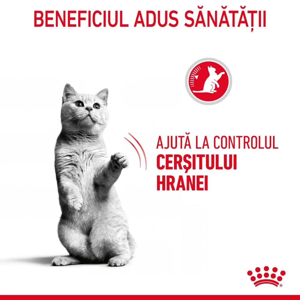 ROYAL CANIN Appetite Control Care, hrană uscată pisici, adult sterilizat, reglarea apetitului, 400g [4]