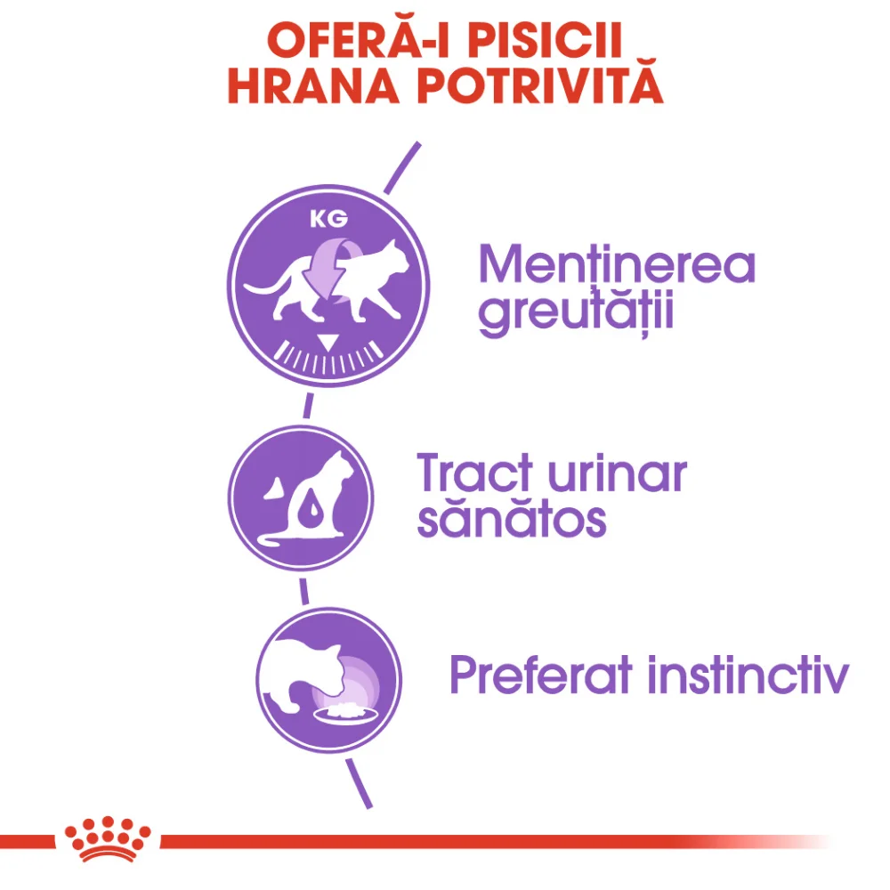 ROYAL CANIN Sterilised Adult, hrană umedă pisică sterilizată (in sos), 12x85g [4]