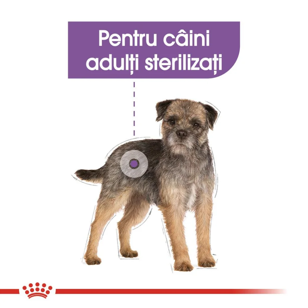 ROYAL CANIN Sterilised Adult, hrană umedă câine sterilizat (pate), 12x85g [5]