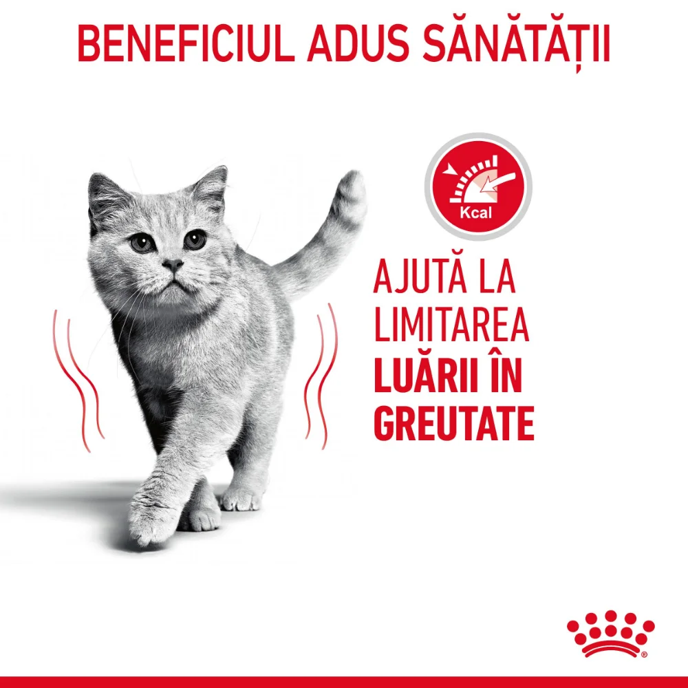ROYAL CANIN Light Weight Care Adult, hrană umedă pisică, limitarea creșterii în greutate (în sos), 12x85g [5]
