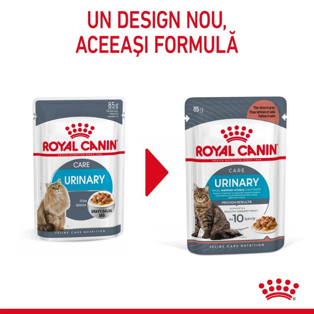 ROYAL CANIN Urinary Care Adult, hrană umedă pisică, sănătatea tractului urinar (în sos), 12x85g [4]