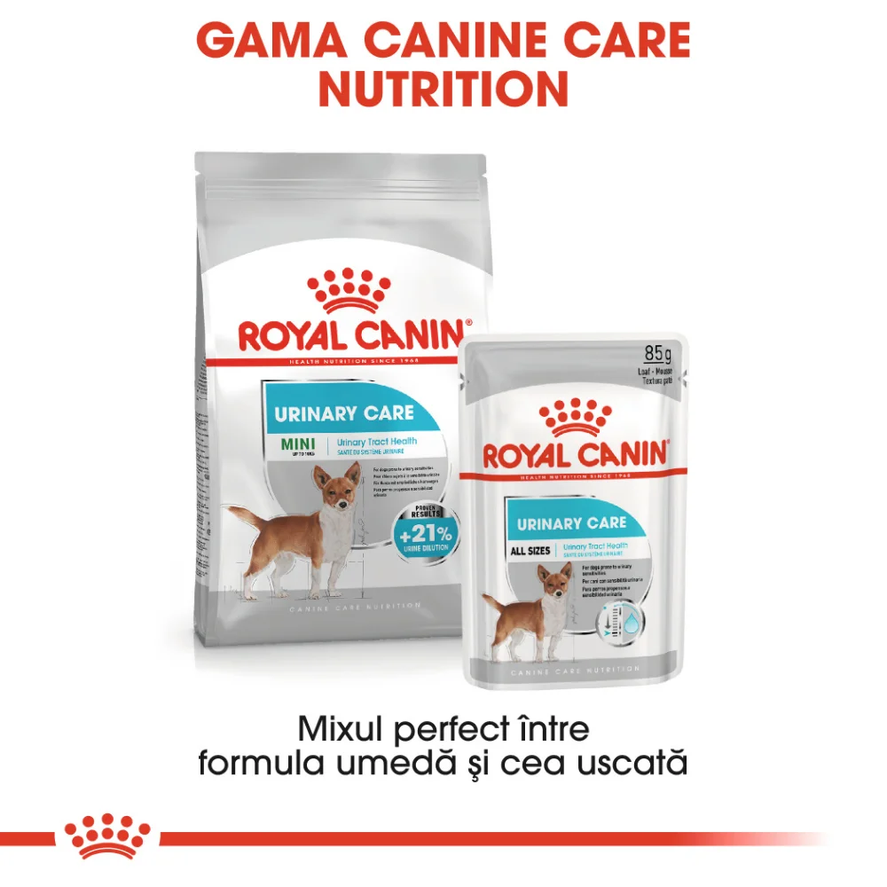 ROYAL CANIN Urinary Care Adult, hrană umedă câine, sănătatea tractului urinar (pate), 12x85g [8]