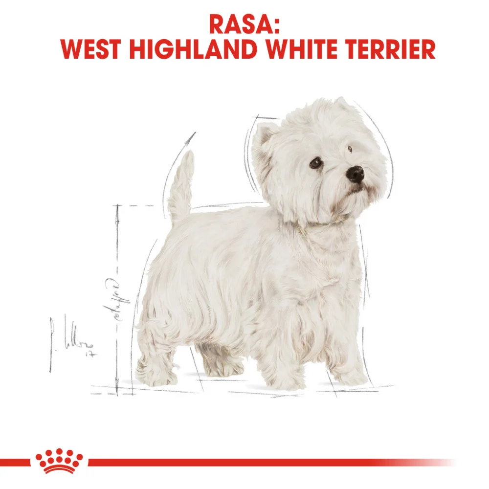 ROYAL CANIN West Highland Terrier Adult, hrană uscată câine Westie, 1,5kg [6]