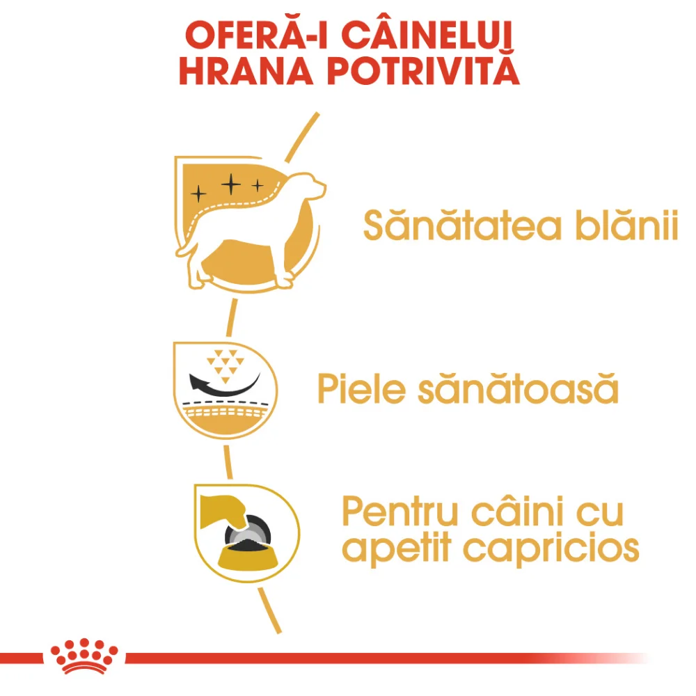 ROYAL CANIN West Highland Terrier Adult, hrană uscată câine Westie, 3kg [4]