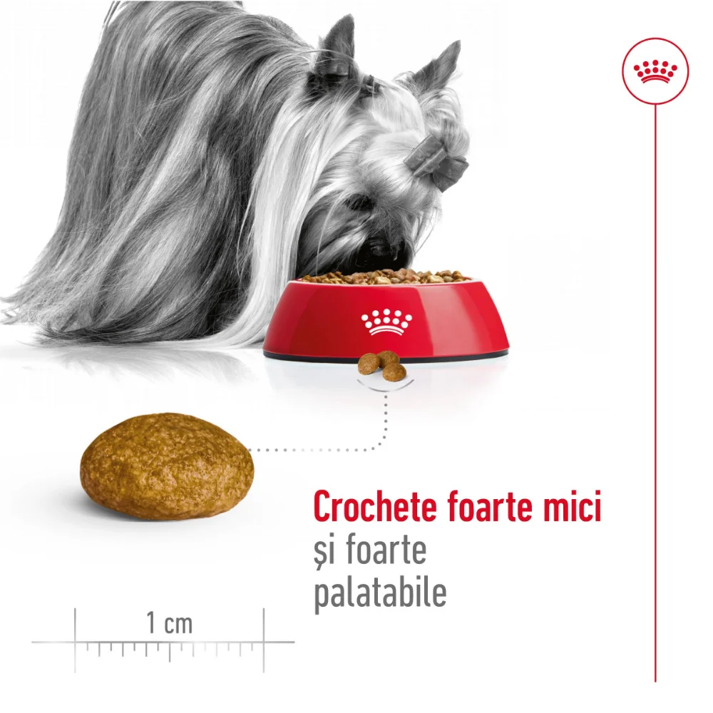 ROYAL CANIN X-Small Adult, hrană uscată câine, 3kg [6]