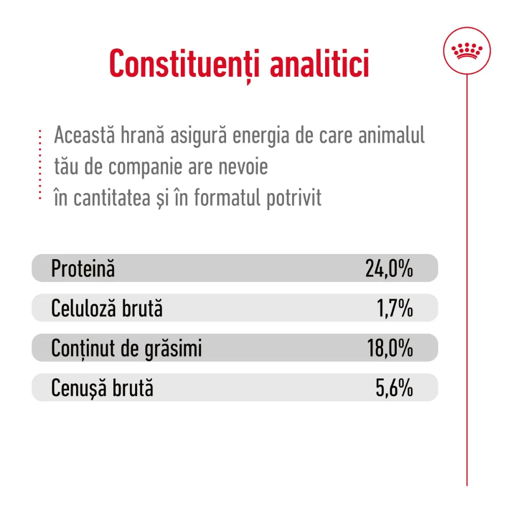ROYAL CANIN X-Small Adult, hrană uscată câine, 3kg [8]