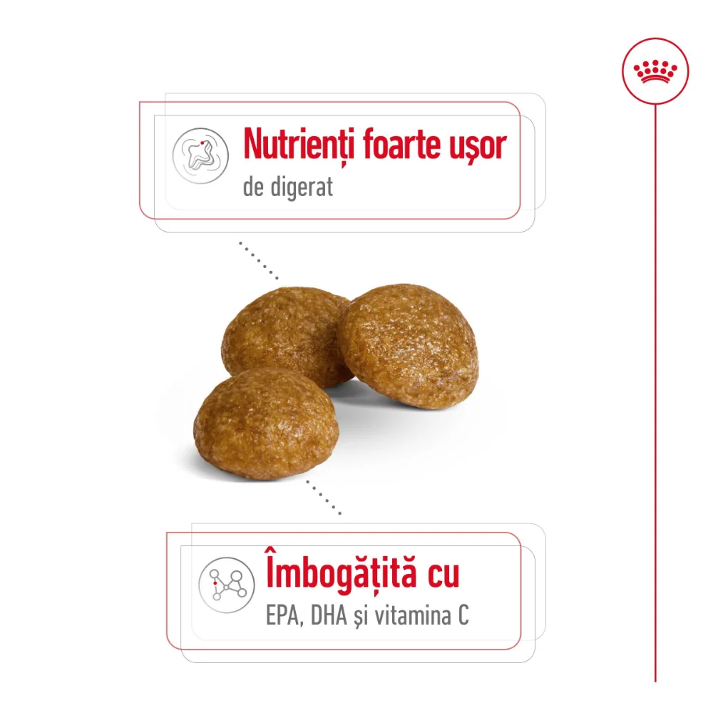 ROYAL CANIN X-Small Adult, hrană uscată câine, 3kg [5]