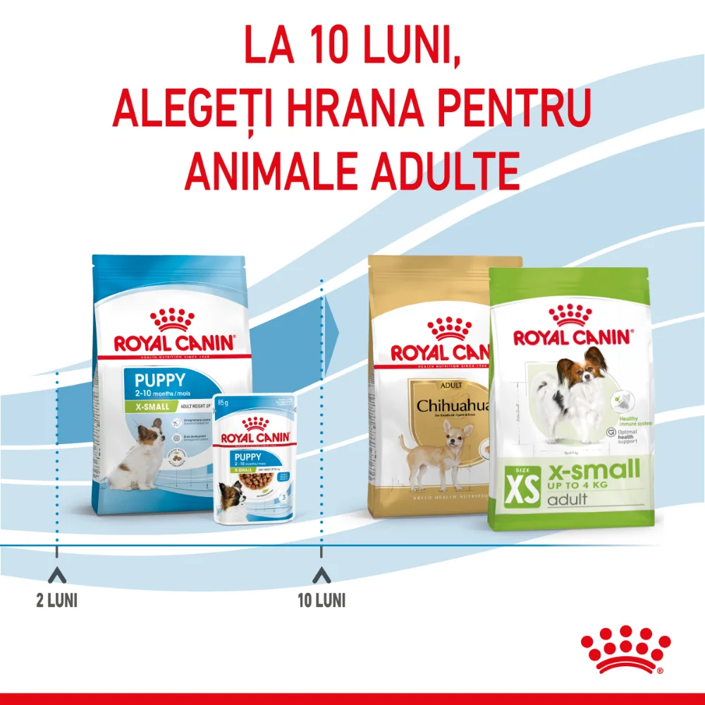 ROYAL CANIN X-Small Puppy, hrană uscată câine junior, 1.5kg [10]