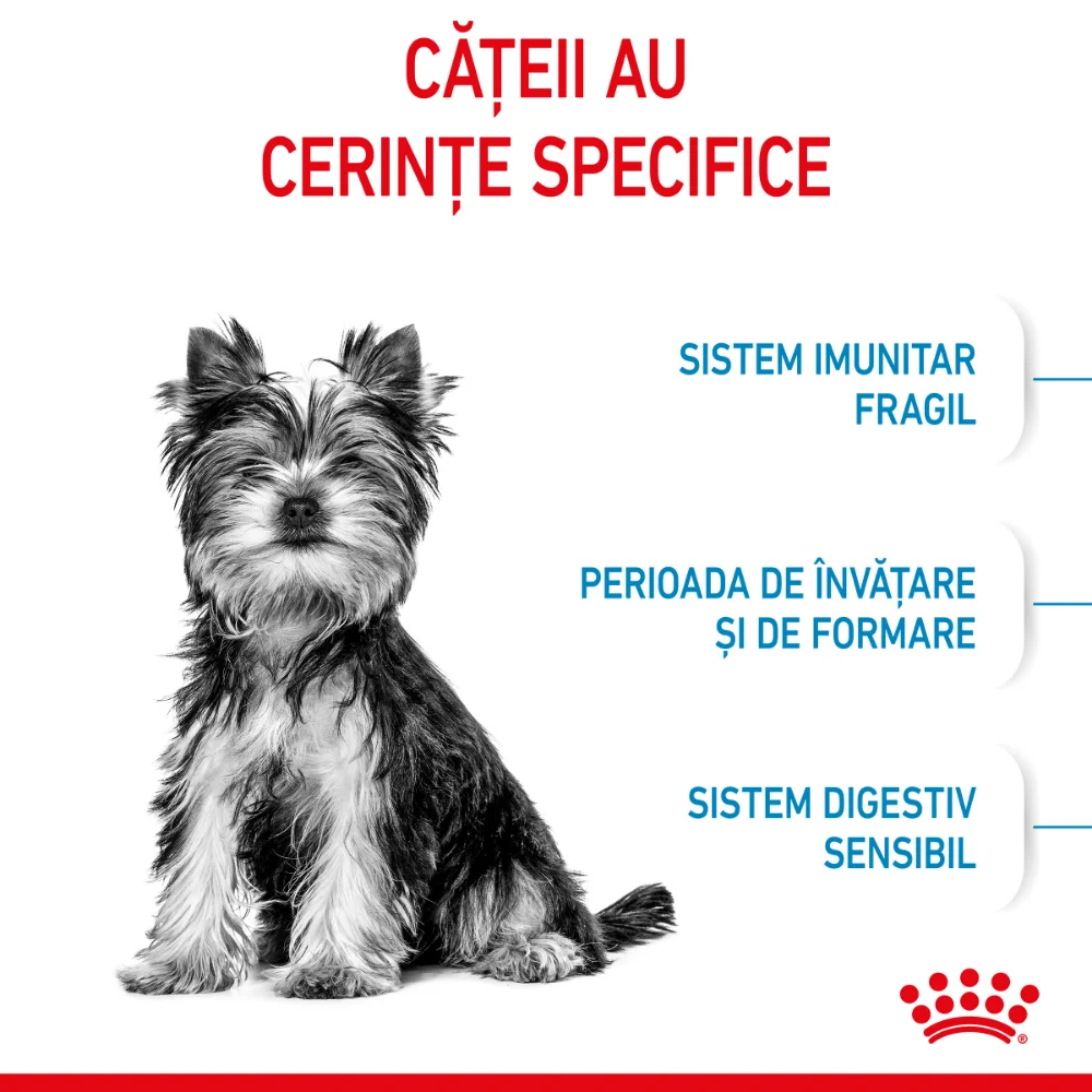 ROYAL CANIN X-Small Puppy, hrană uscată câine junior, 1.5kg [4]
