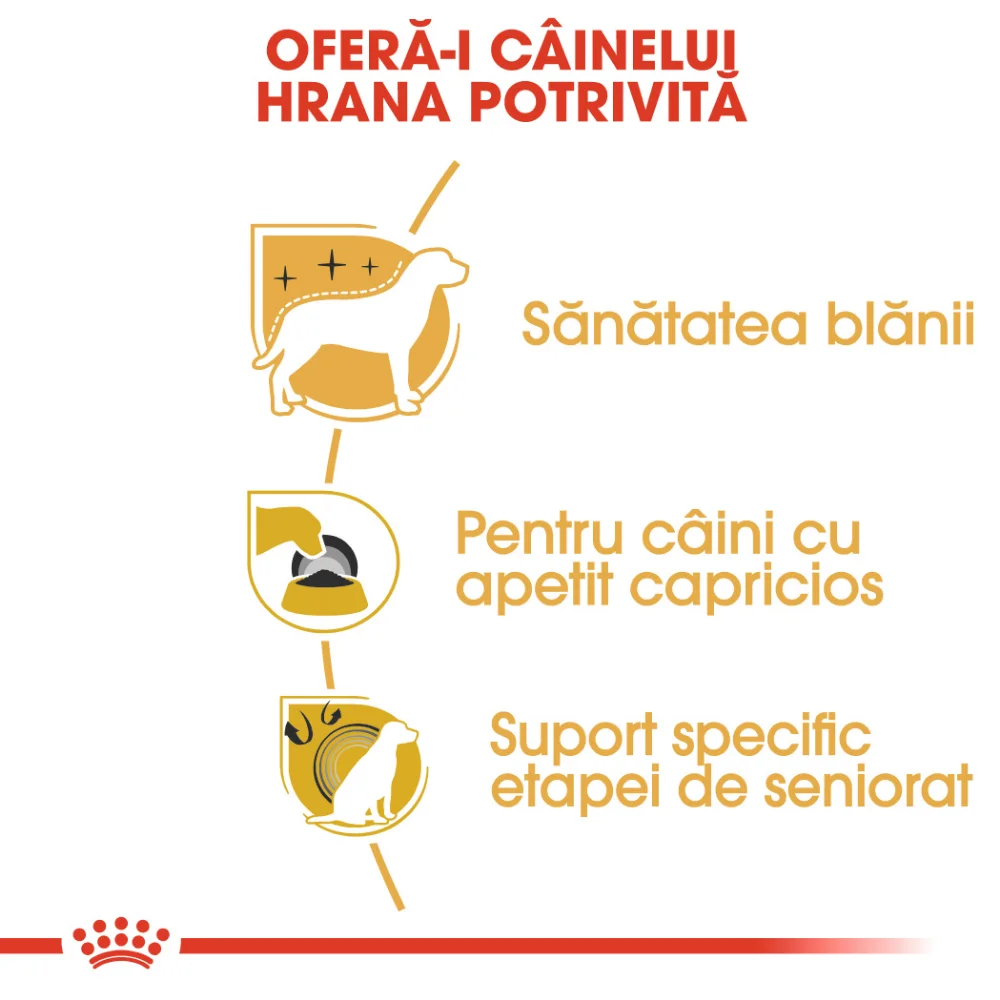 ROYAL CANIN Yorkshire Adult, hrană uscată câine, 1.5kg [4]